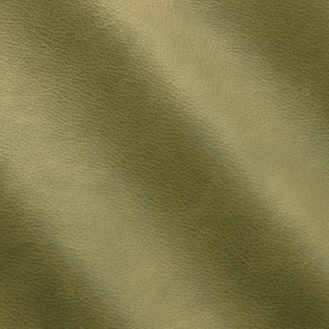 Aligo Group фото
